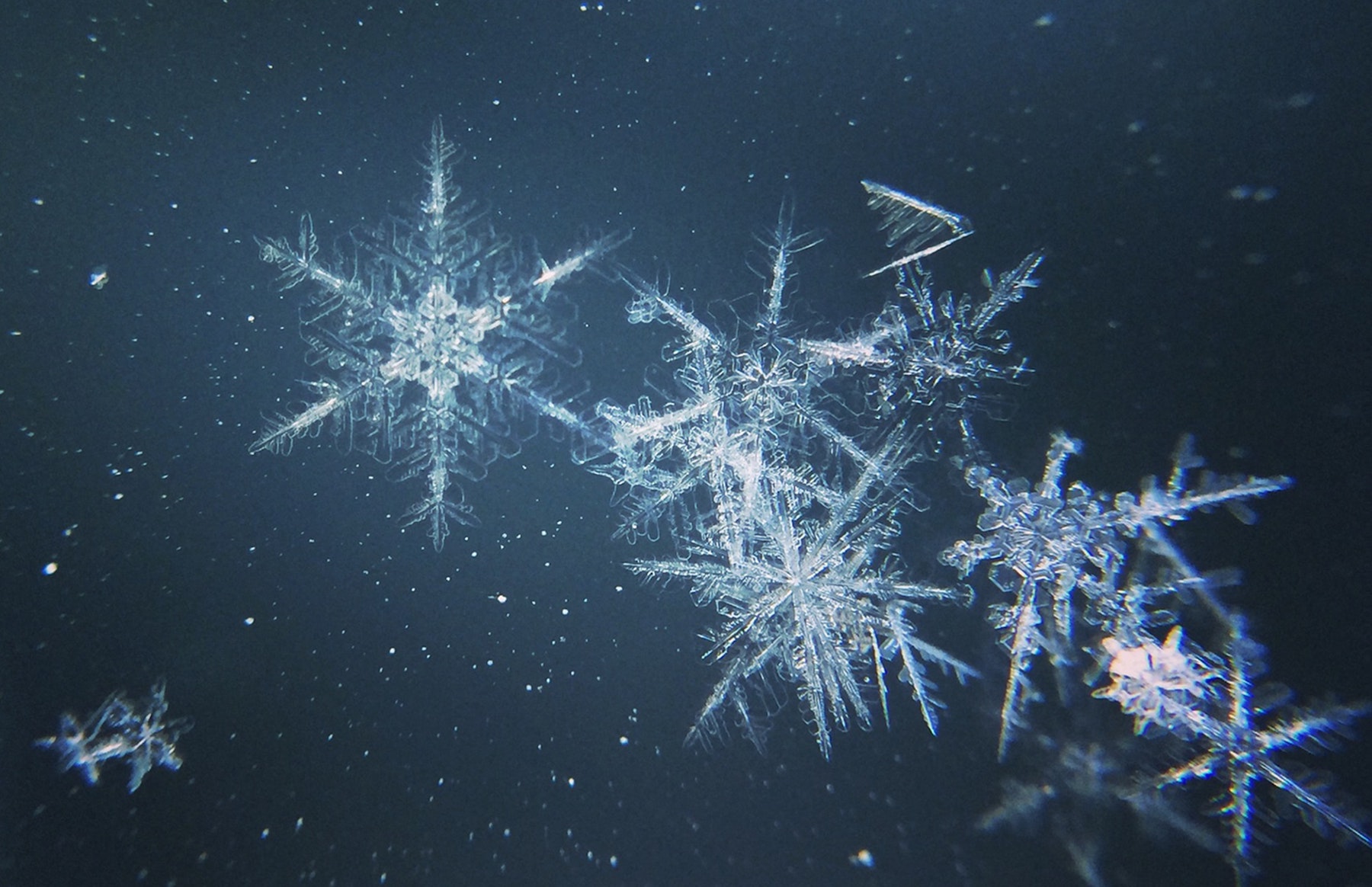 image from Snowflake Servers